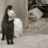2011-09-24-23-19-07