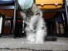 DSCN0562