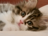DSCN0590