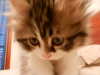 DSCN0607