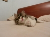 DSCN0631