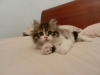 DSCN0637