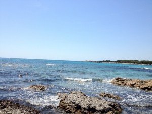 20120817-084855.jpg